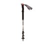 Picture of TRESPASS COLLAPSIBLE TREKKING POLE LIGHTWEIGHT QIKLOCK